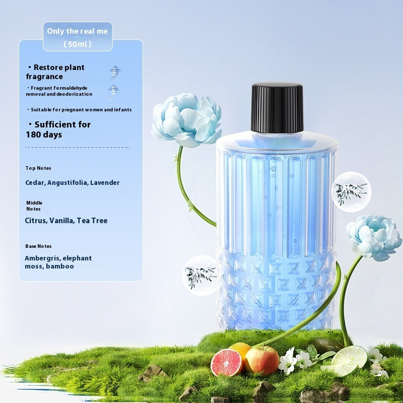 Intelligent Aroma Diffuser Automatic Aerosol Dispenser Expansion Essential Oil